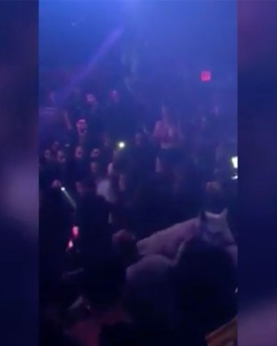horse trips out in south beach nightclub