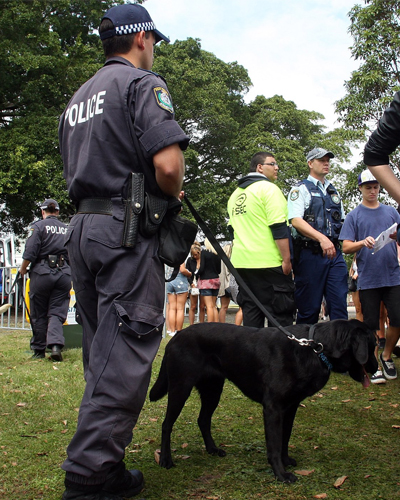 police with drug dog at music festival