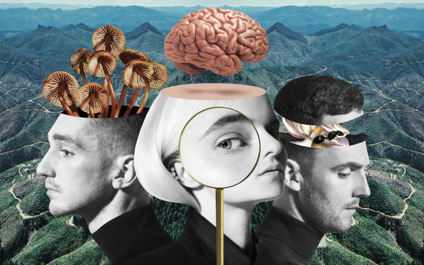 Clean Bandit what is love? cover art up close