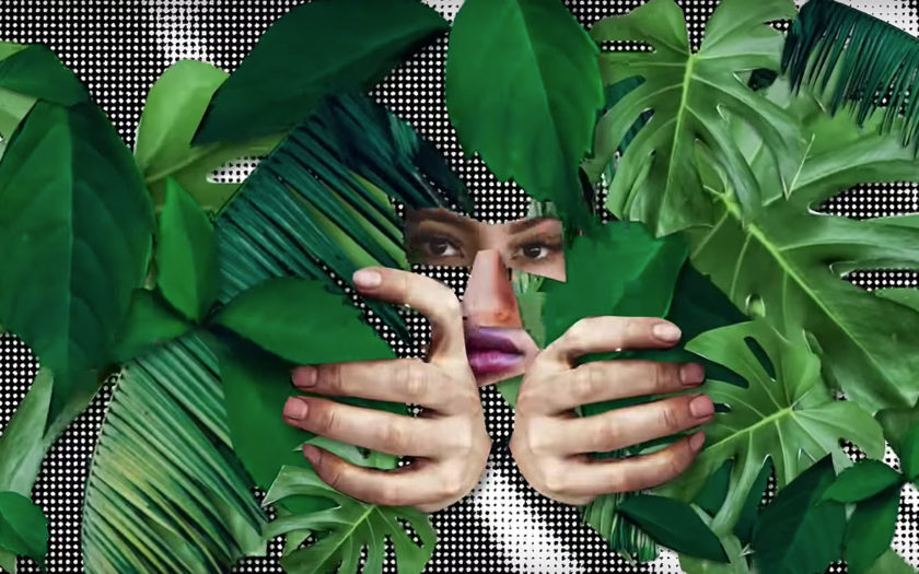 screenshot from on your mind video women peering out from behind palm leaves